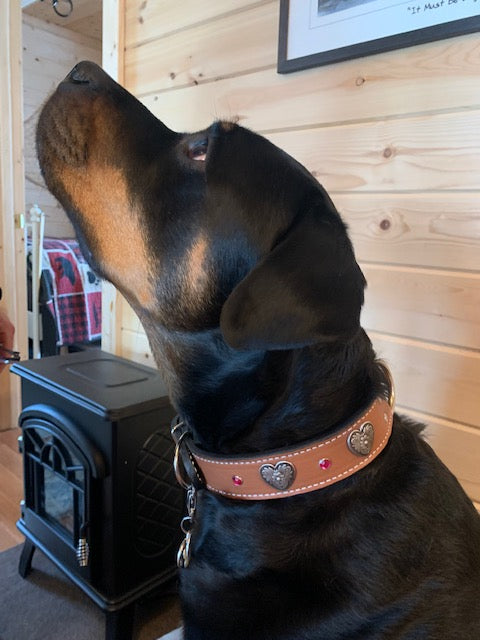 V28 - Collar de cuero con corazones y gemas de 1 1/2"