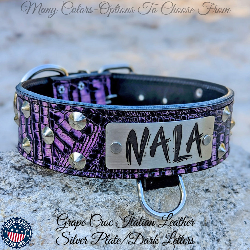 WN1 - Coleira de couro cravejada com placa de nome personalizada de 2"