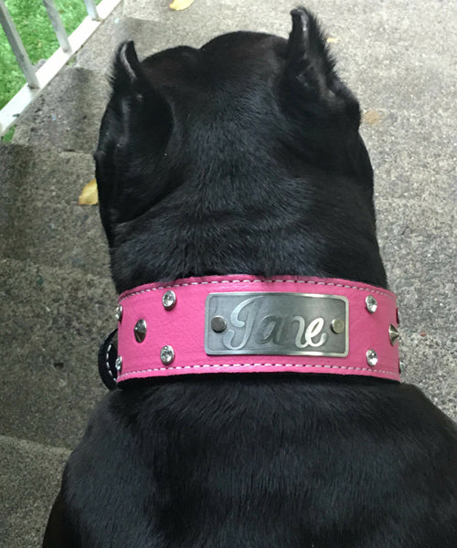 WN3 - Custom Made 2" Wide Italian Leather Studded Dog Collar