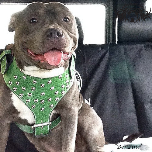 Y20 - Studded Leather Dog Harness - 2