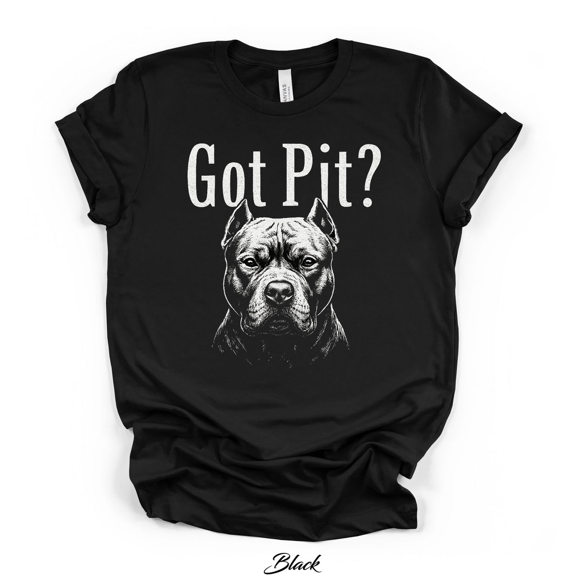 Got Pit? Graphic Tee | Black | Direct-to-Garment Print | Bella Canvas 3001