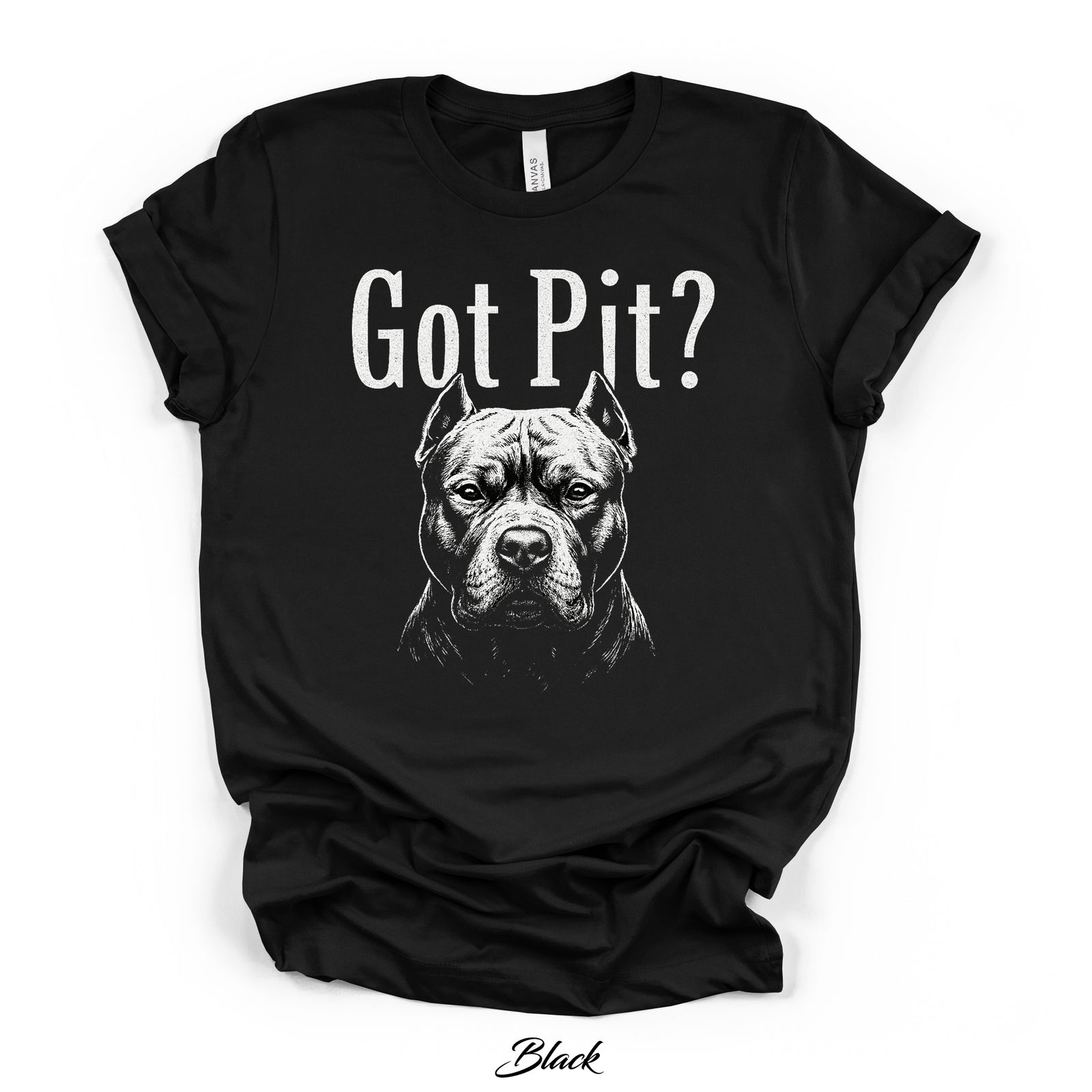 Got Pit? Graphic Tee | Black | Direct-to-Garment Print | Bella Canvas 3001