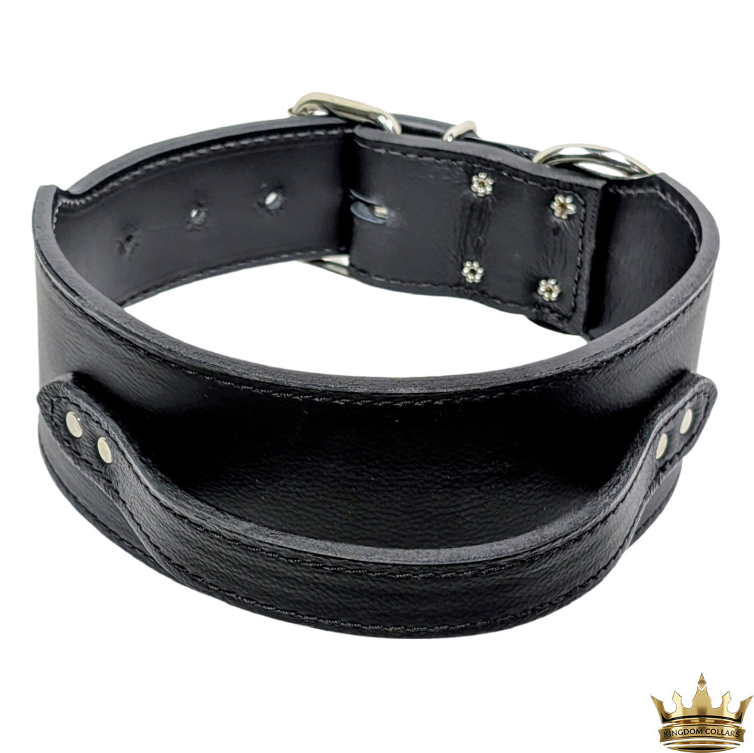 Black leather collar with handle on a white background