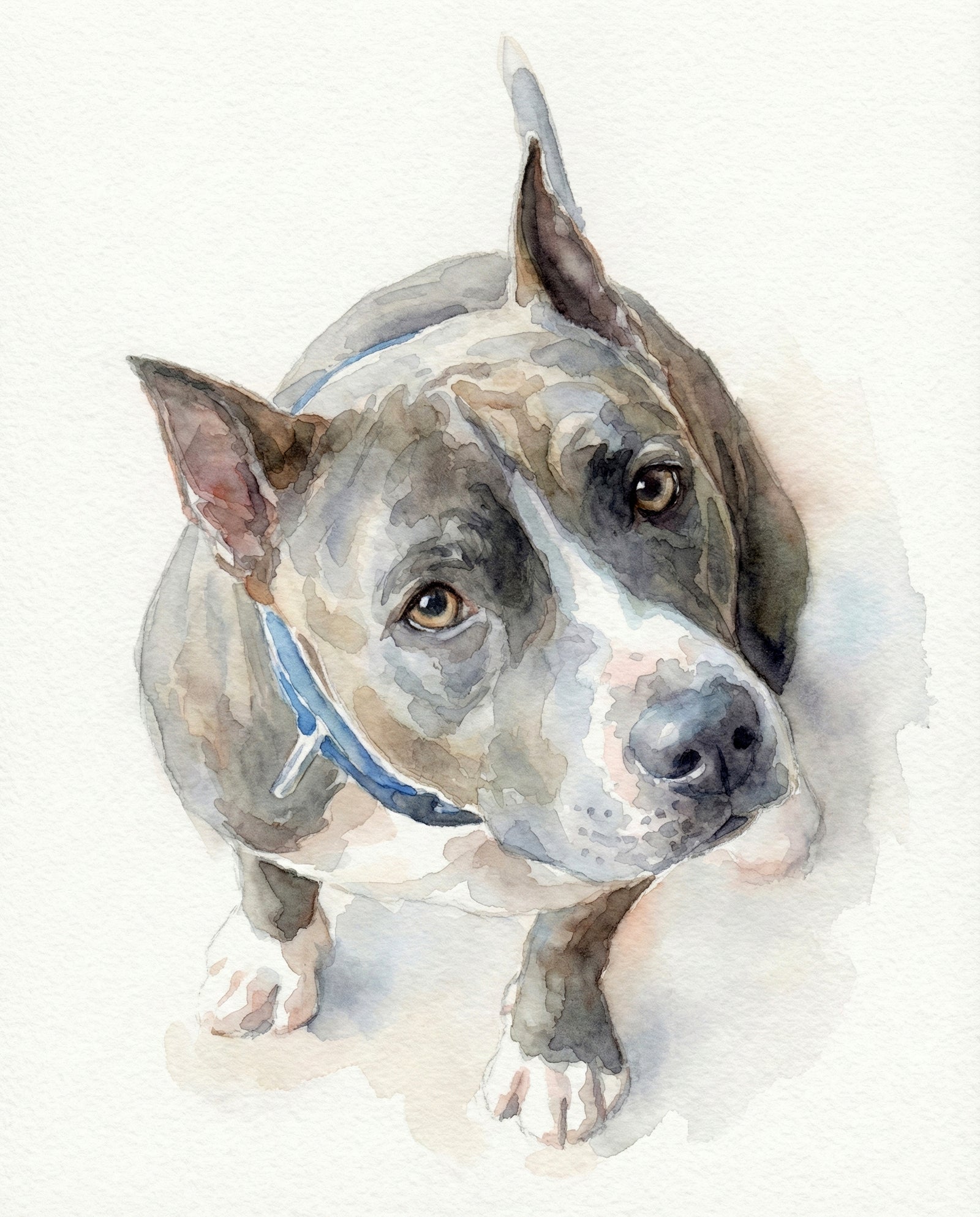 Custom Watercolor Wash Dog Portrait | Personalized Digital Pet Artwork