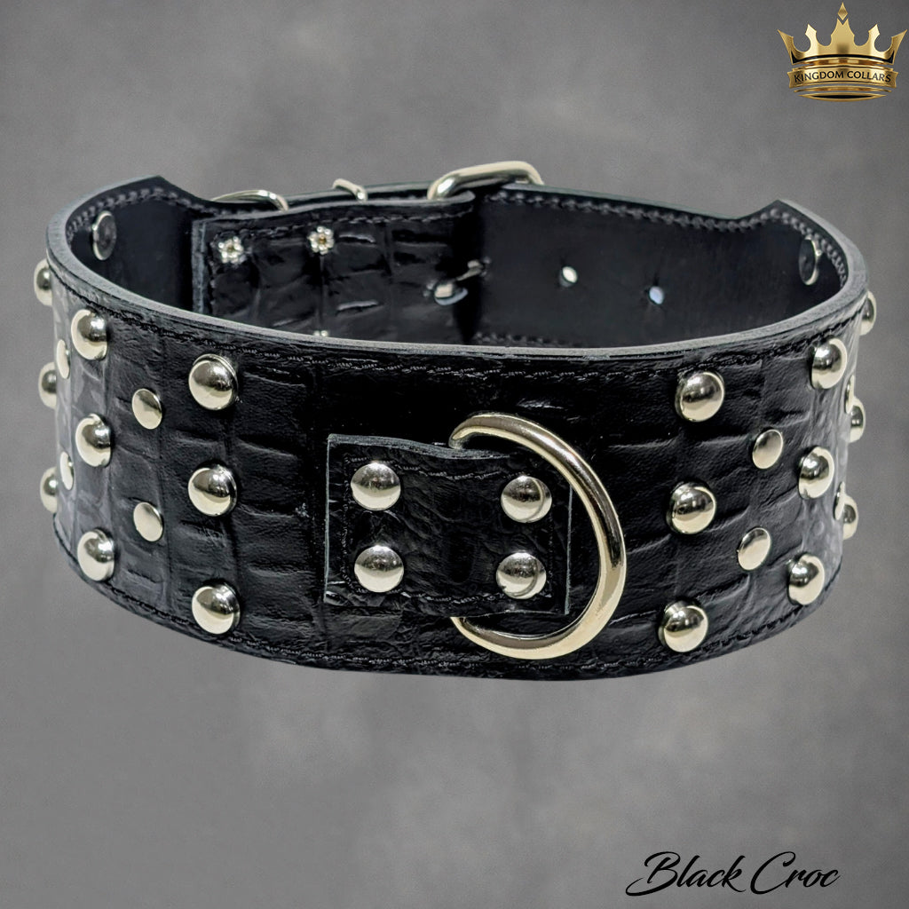 Black leather dog collar with studs on a gray background, featuring the brand 'Black Croc'.