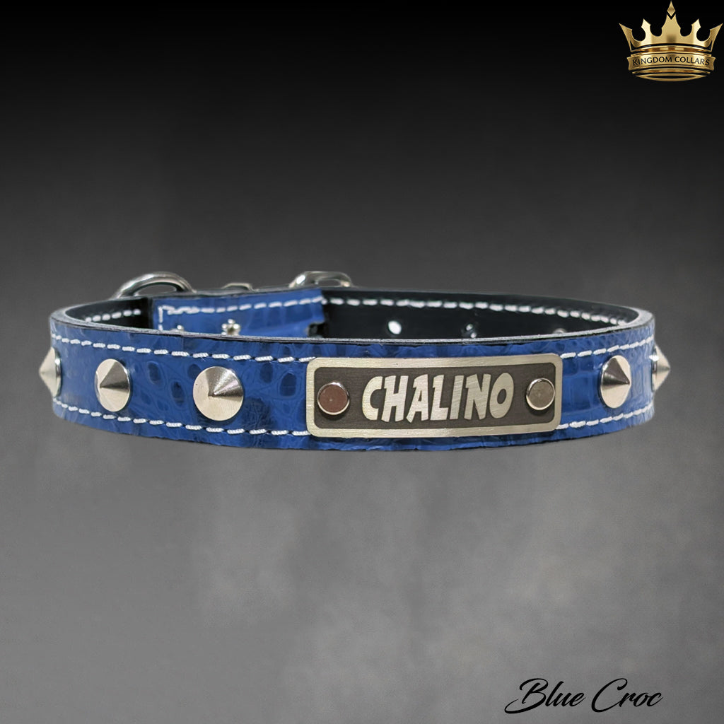 A blue crocodile-embossed leather dog collar with silver-tone metal studs, white contrast stitching, and a central silver nameplate engraved with 'CHALINO'.