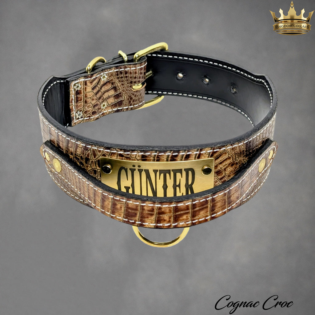 2.5" Wide Italian Leather Agitation Dog Collar | Matching Handle | Engraved Name Plate