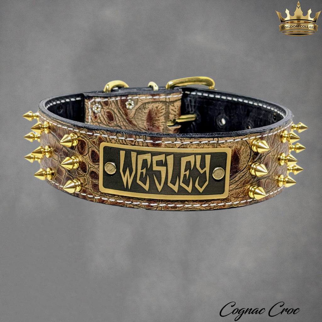 W52 - Coleira de cachorro de couro com placa de identificação personalizada de 2"