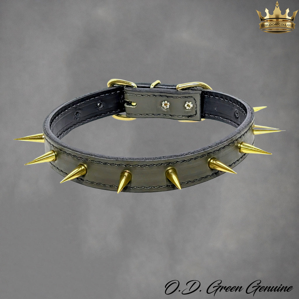 U4 - 1" Wide Spiked Leather Dog Collar