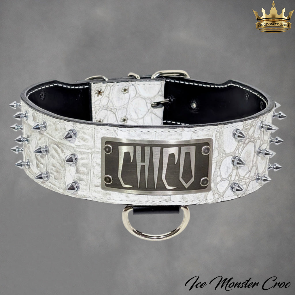 J8 - Coleira personalizada de couro pontiagudo de 2,5" com pedras preciosas