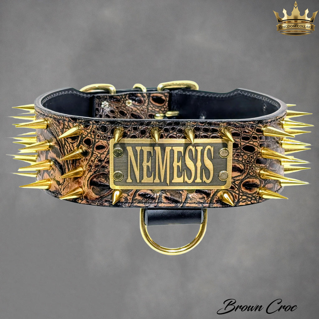 Dog collar with spikes and 'Nemesis' plaque on a gray background