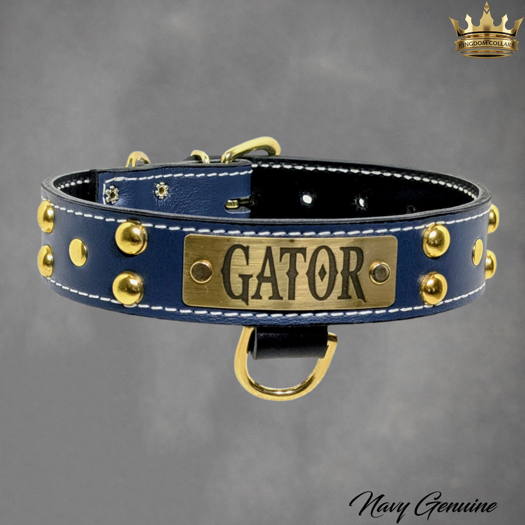 N10 - 1.5" Wide Leather Dog Collar Personalized Name Plate Studded