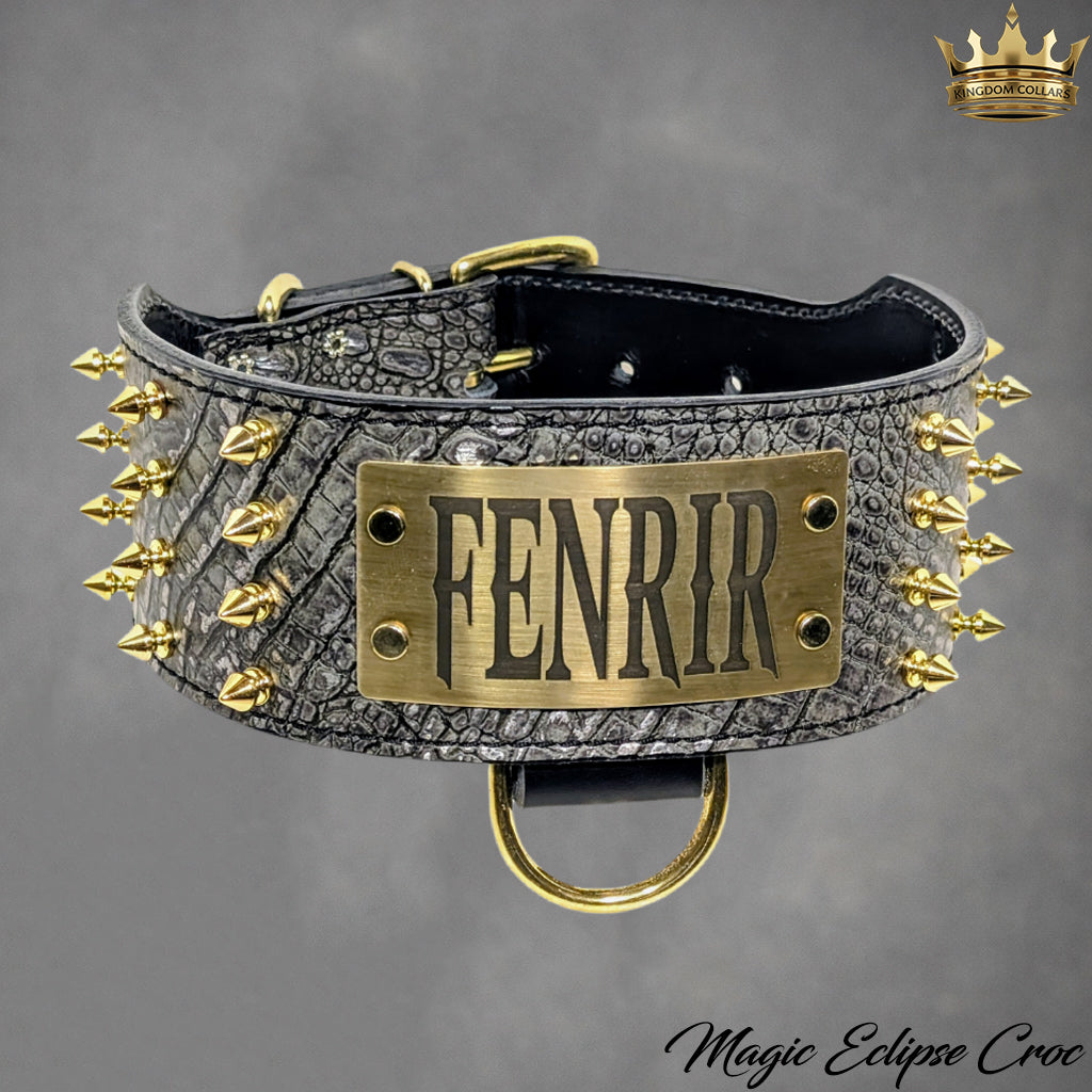 NX6 - Coleira personalizada de couro pontiagudo de 3"