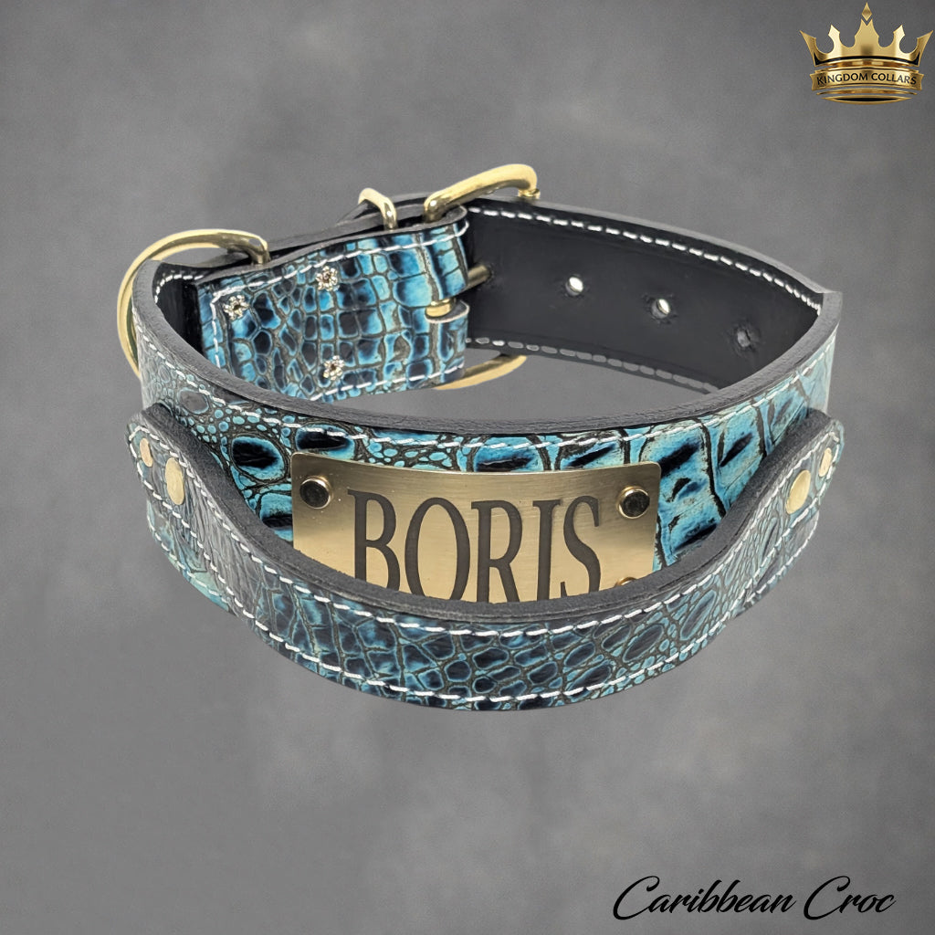 2.5" Wide Italian Leather Agitation Dog Collar | Matching Handle | Engraved Name Plate