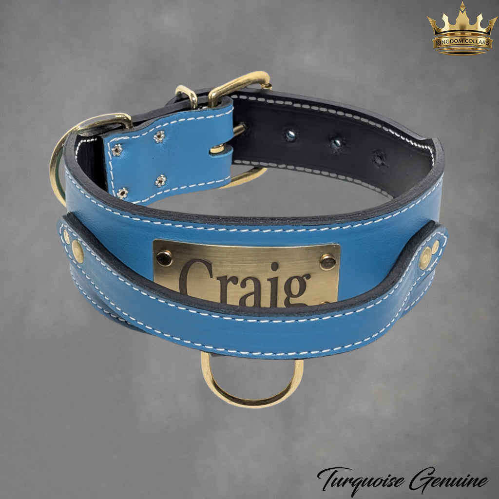 2.5" Wide Italian Leather Agitation Dog Collar | Matching Handle | Engraved Name Plate