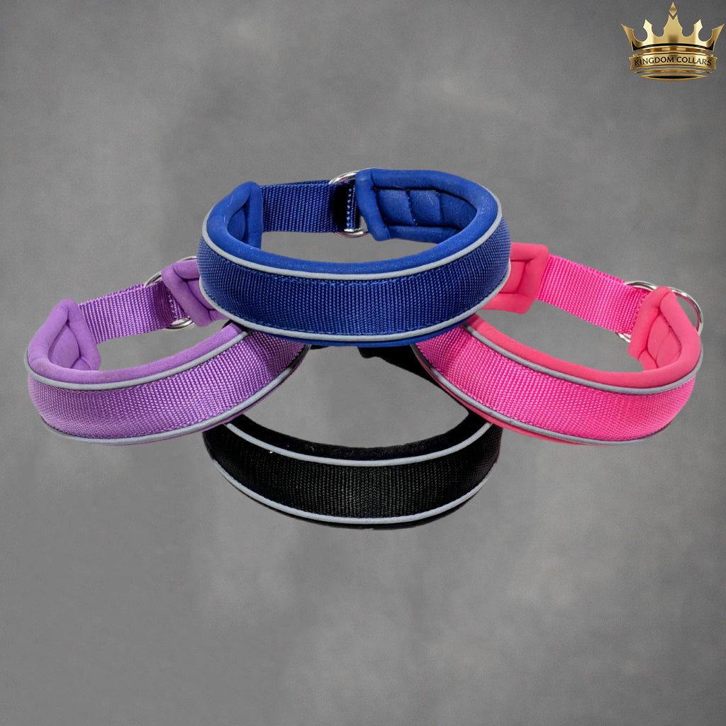 Four dog collars in blue, purple, black, and pink on a gray background