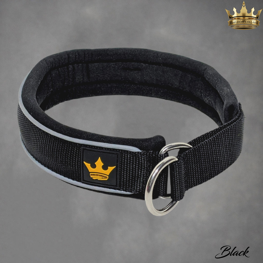 1.5" Wide Padded Martingale Slip-On Dog Collar