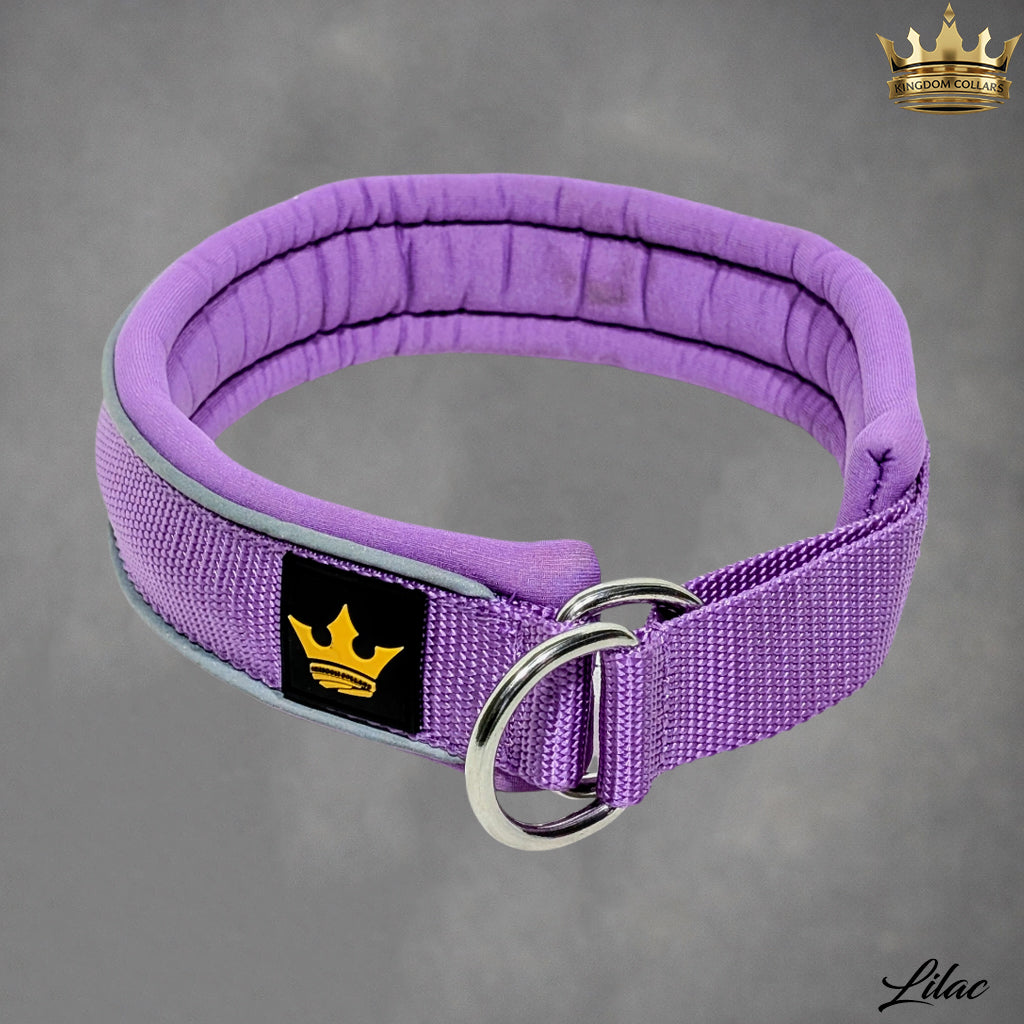 1.5" Wide Padded Martingale Slip-On Dog Collar