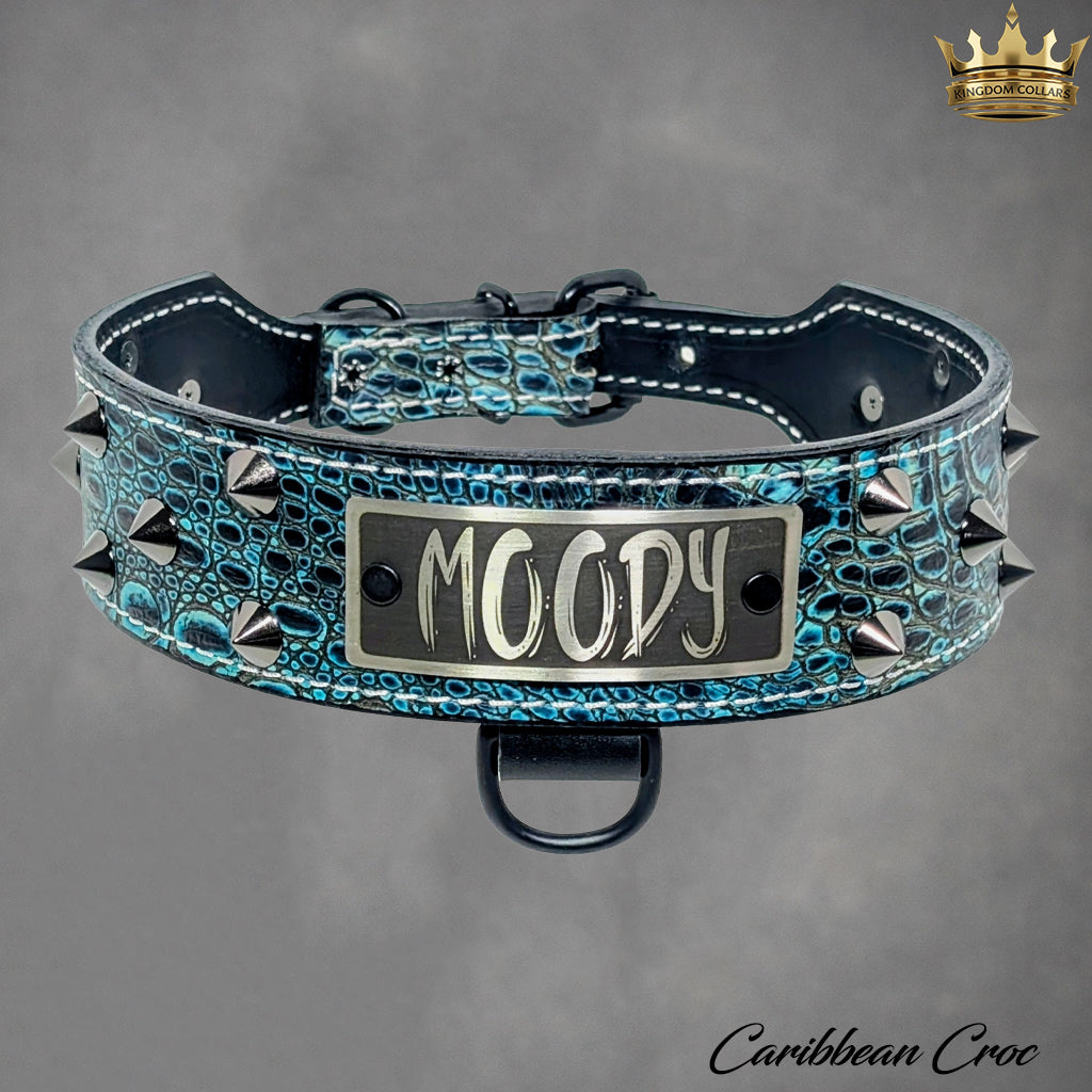 N5 - 2" Wide Tapered Personalized Leather Dog Collar with Studs