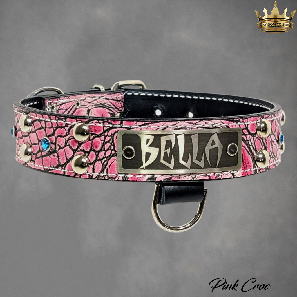 V20 - Coleira personalizada de 1 1/2" com tachas e pedras preciosas