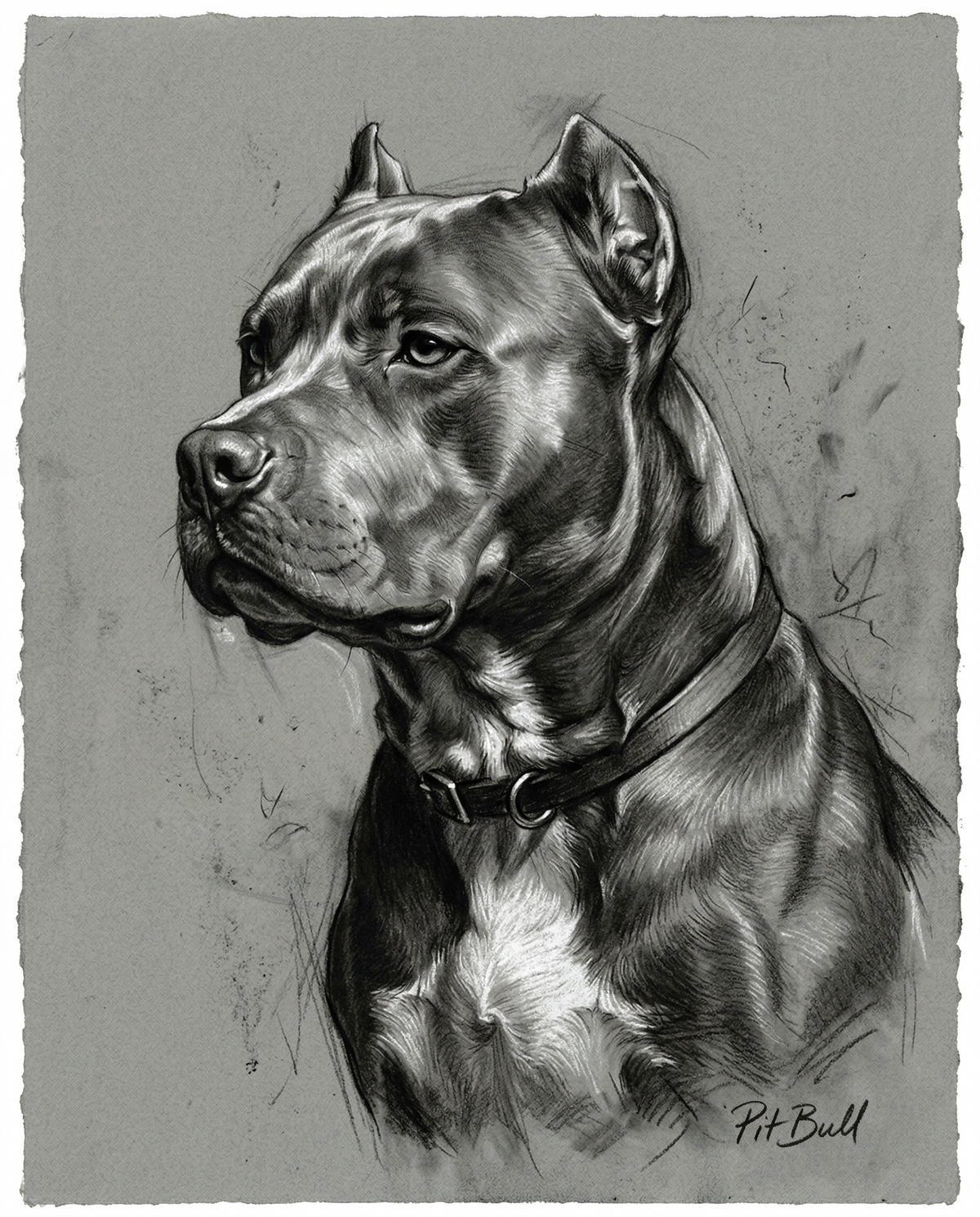 Custom Anatomical Charcoal Noir Dog Portrait | Digital Pet Artwork