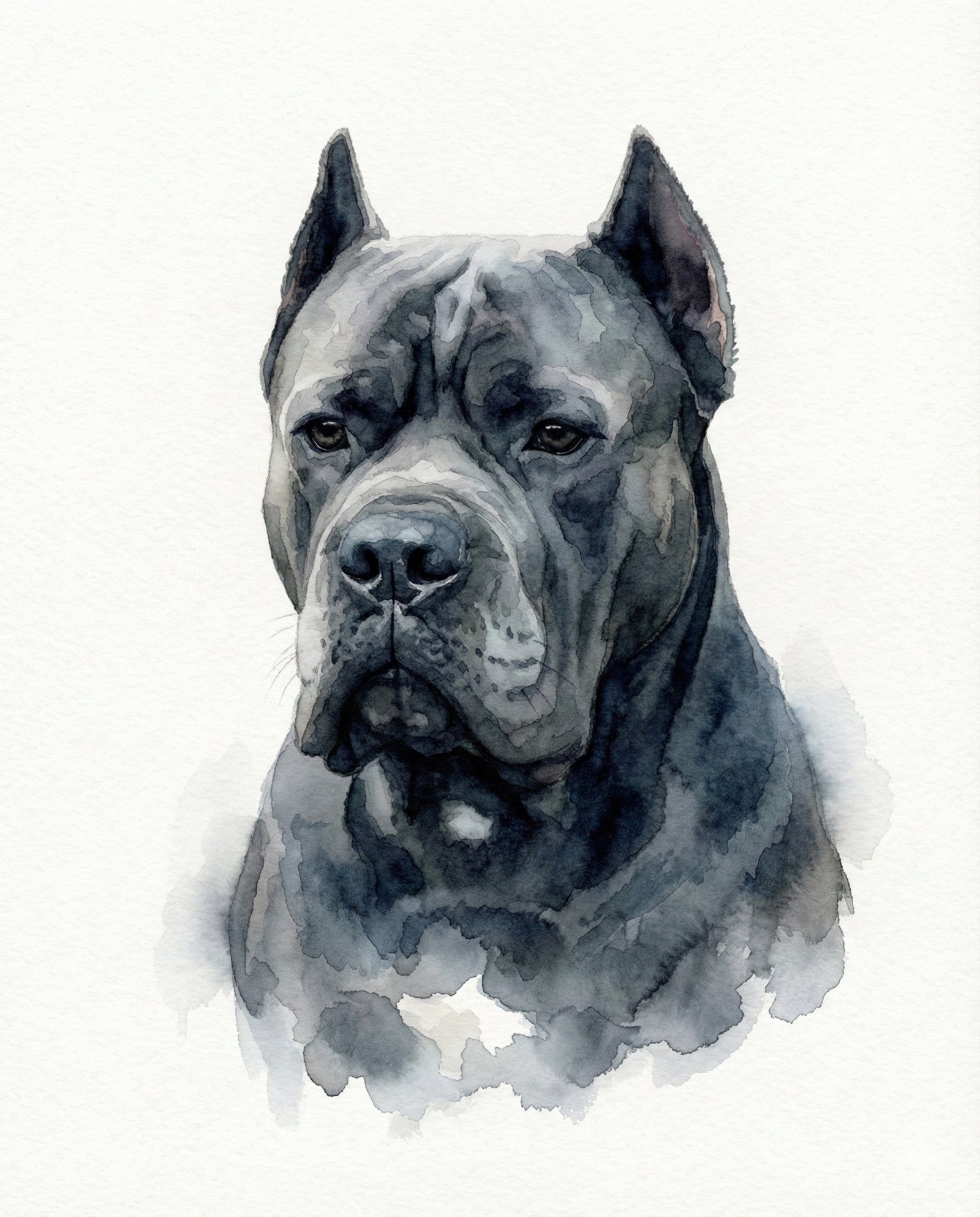 Custom Watercolor Wash Dog Portrait | Personalized Digital Pet Artwork