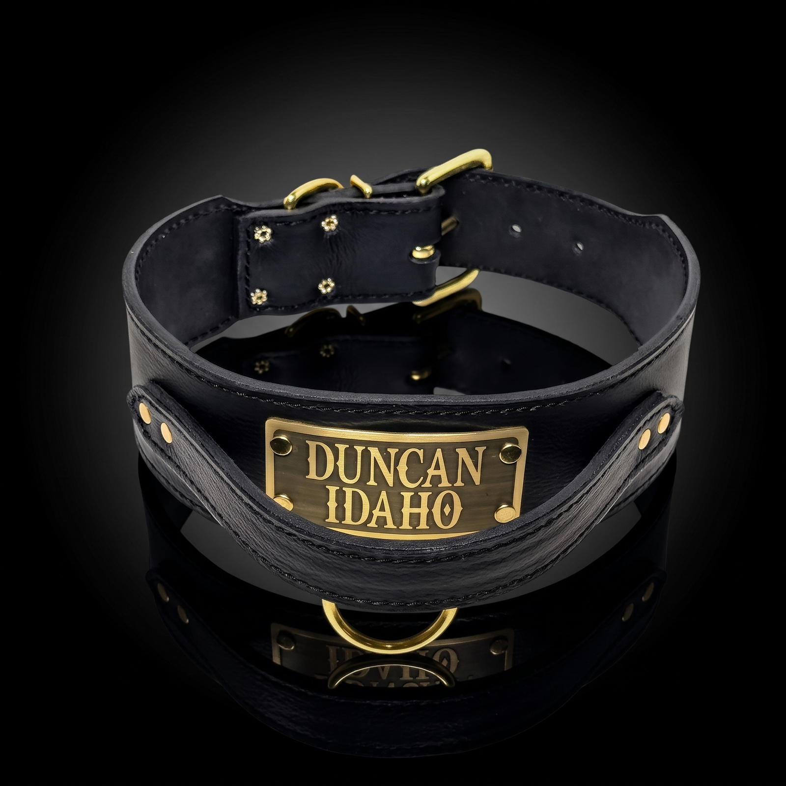 2.5"-black Italian leather agitation collar with handle and engraved name plate by Kingdom Collars
