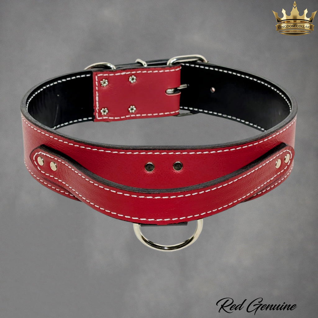 AGT1 - 2" Wide Leather Agitation Dog Collar with Handle