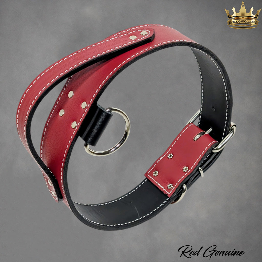 AGT1 - 2" Wide Leather Agitation Dog Collar with Handle