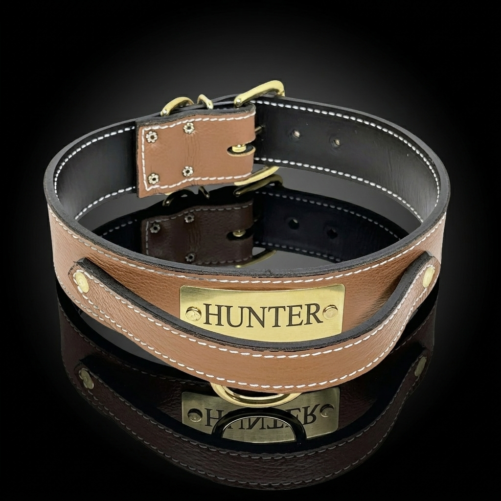 A brown leather dog collar with white stitching, a black inner lining, and a gold metal buckle. The collar features a polished gold metal plate engraved with the name 'HUNTER'.