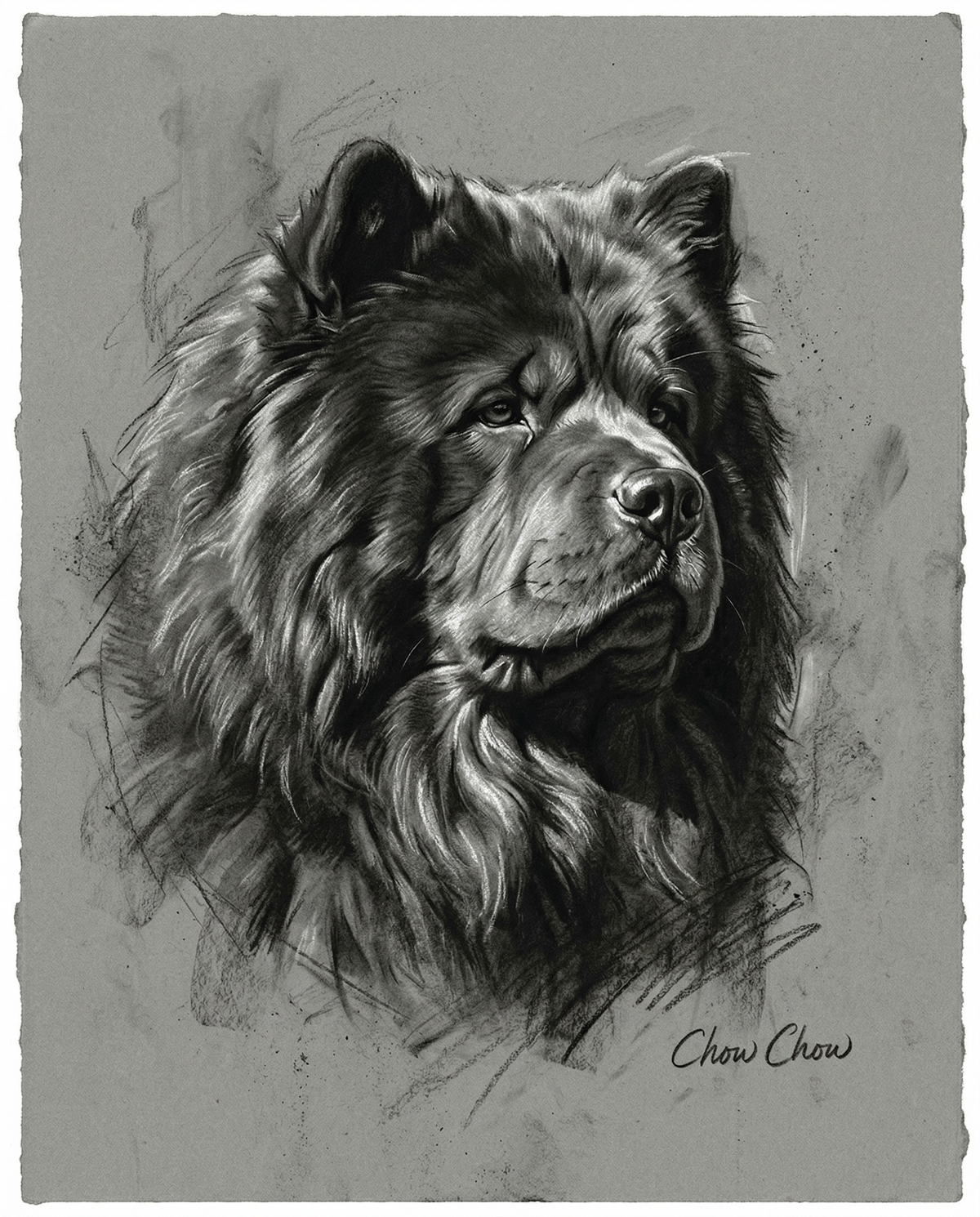 Custom Anatomical Charcoal Noir Dog Portrait | Digital Pet Artwork