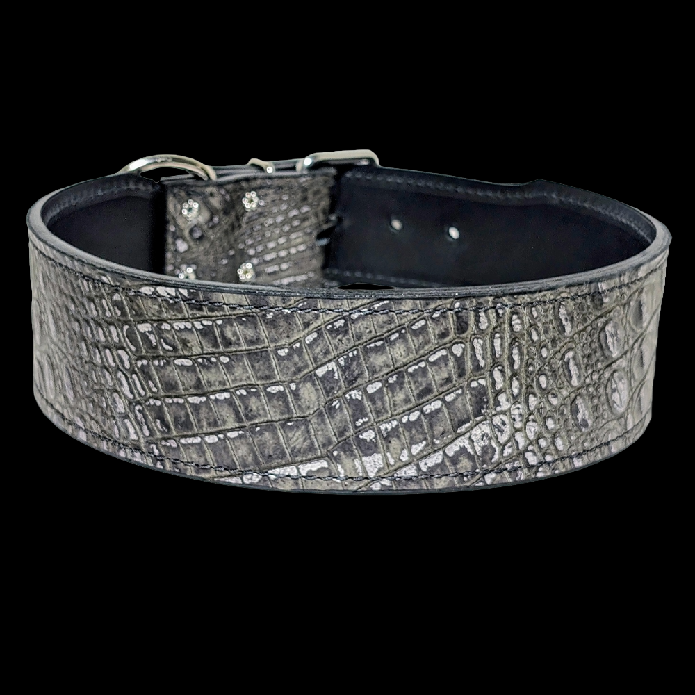 * 2.5" Wide Magic Eclipse Croc Italian Leather Dog Collar 23"-26" Neck – Overstock Special