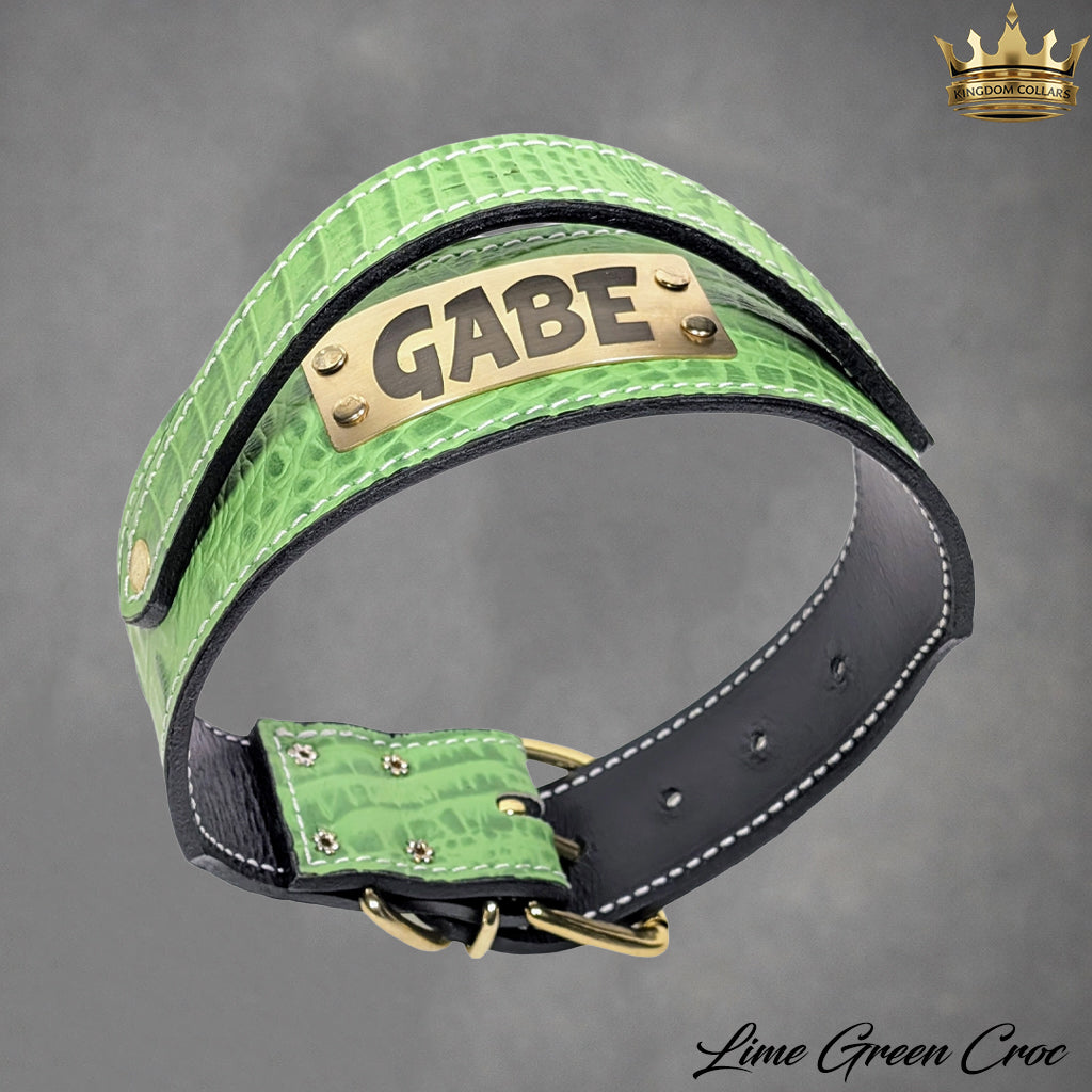 AGT-X26 - 3" Wide Personalized Agitation Leather Collar