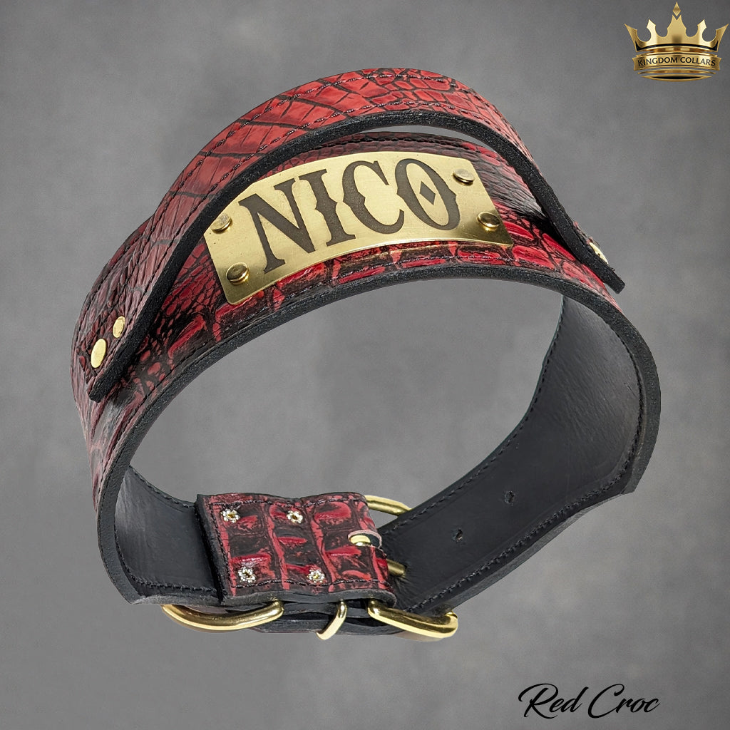2.5" Wide Italian Leather Agitation Dog Collar | Matching Handle | Engraved Name Plate