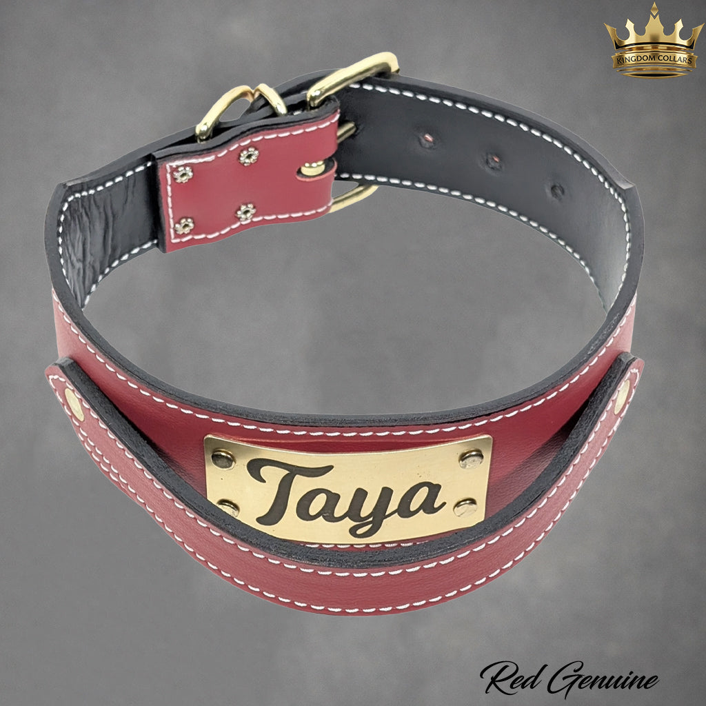 2.5" Wide Italian Leather Agitation Dog Collar | Matching Handle | Engraved Name Plate
