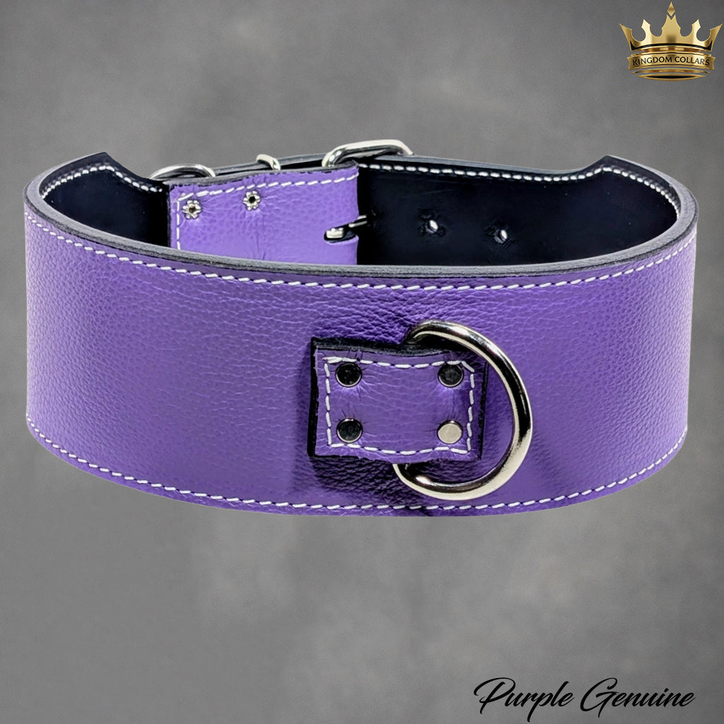 X1 - 3" Wide Leather Dog Collar