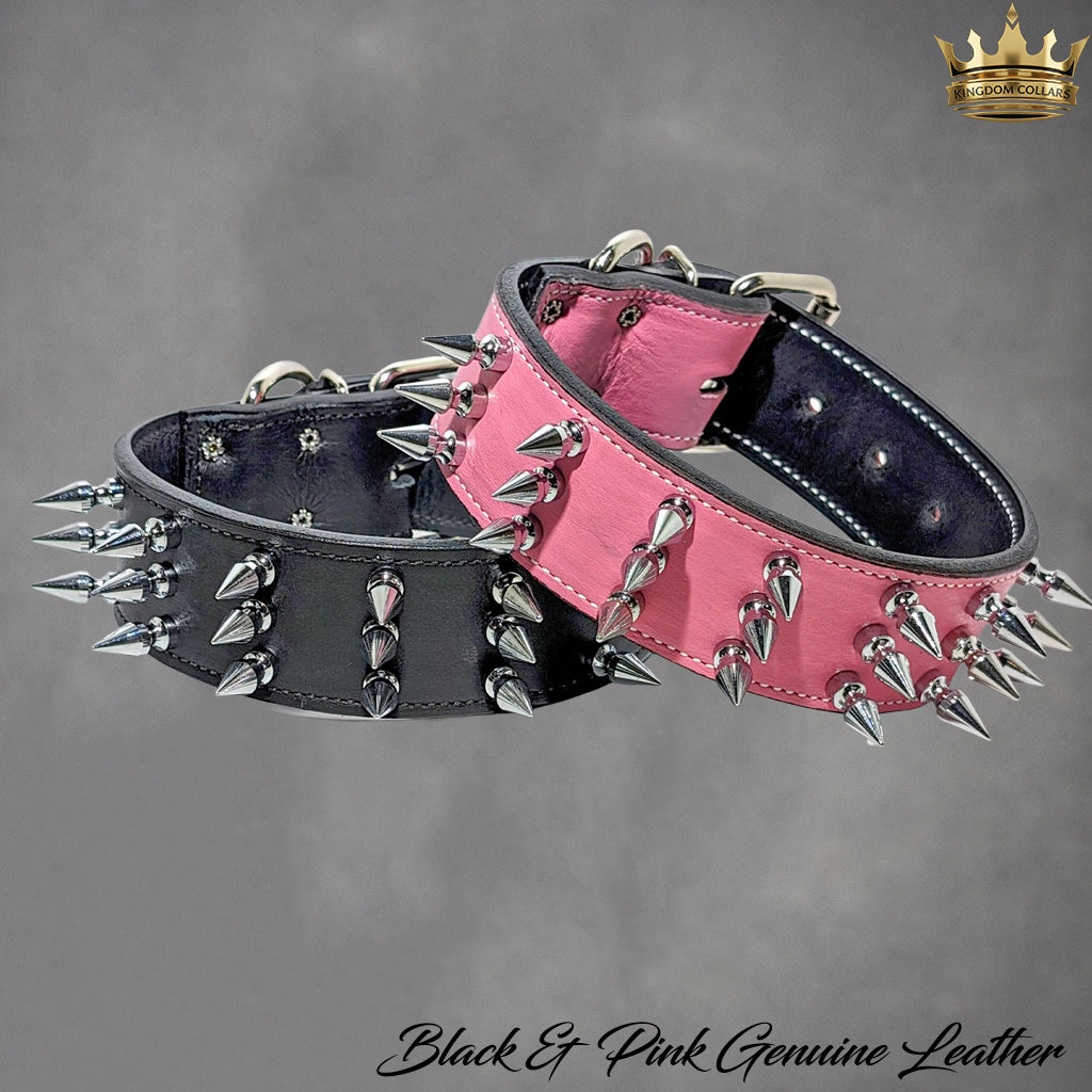 W18 - 2" Wide Spiked Leather Dog Collar