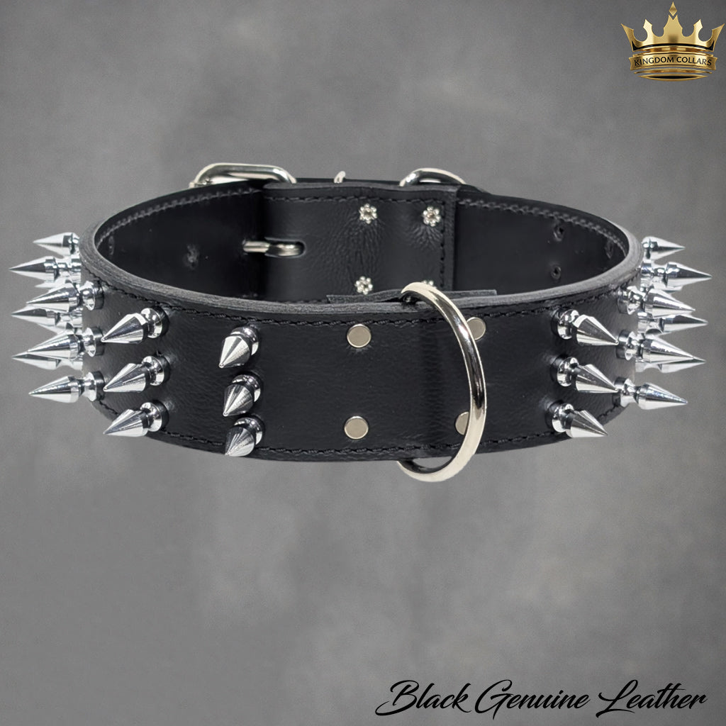 W18 - 2" Wide Spiked Leather Dog Collar