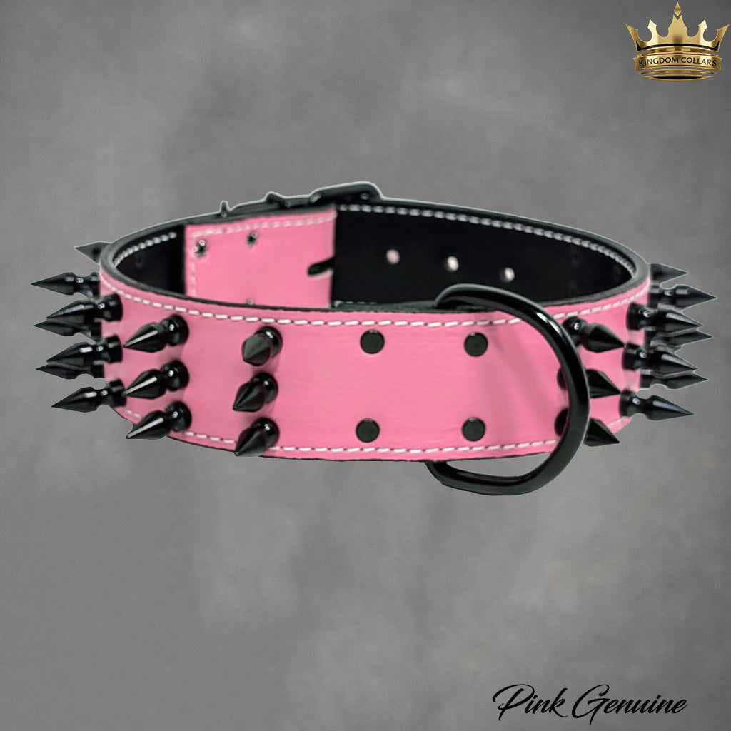 W18 - 2" Wide Spiked Leather Dog Collar