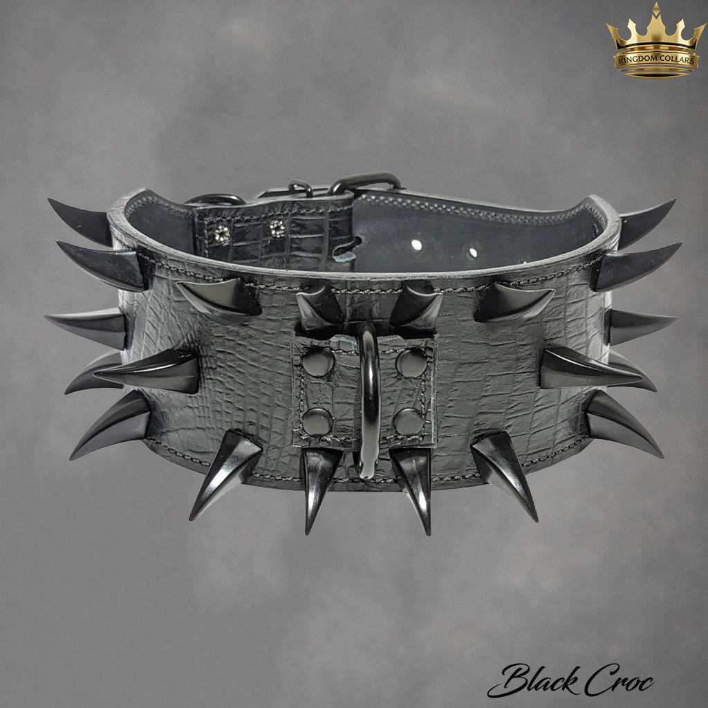 Dog collar with spikes on a gray background, featuring the brand 'Black Croc'.