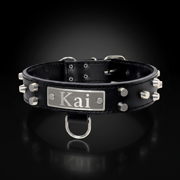 dogcollar-1_6f81b2e4-62d8-4ade