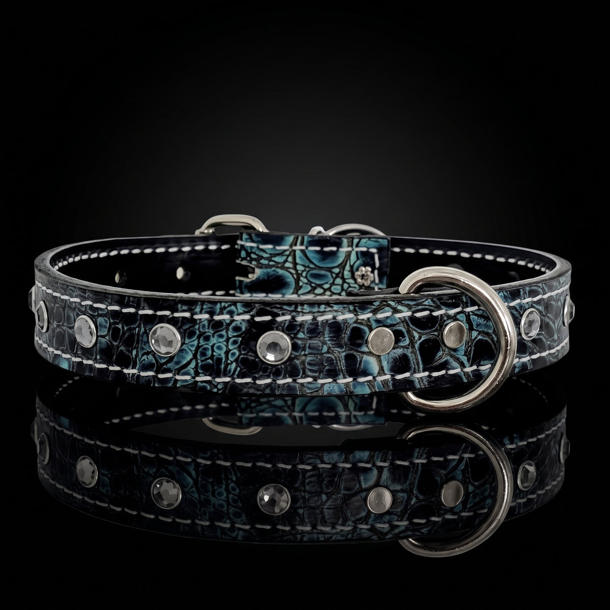 A caribbean leather dog collar with a blue and black crocodile pattern, silver studs, and a silver metal buckle, displayed on a reflective black surface.