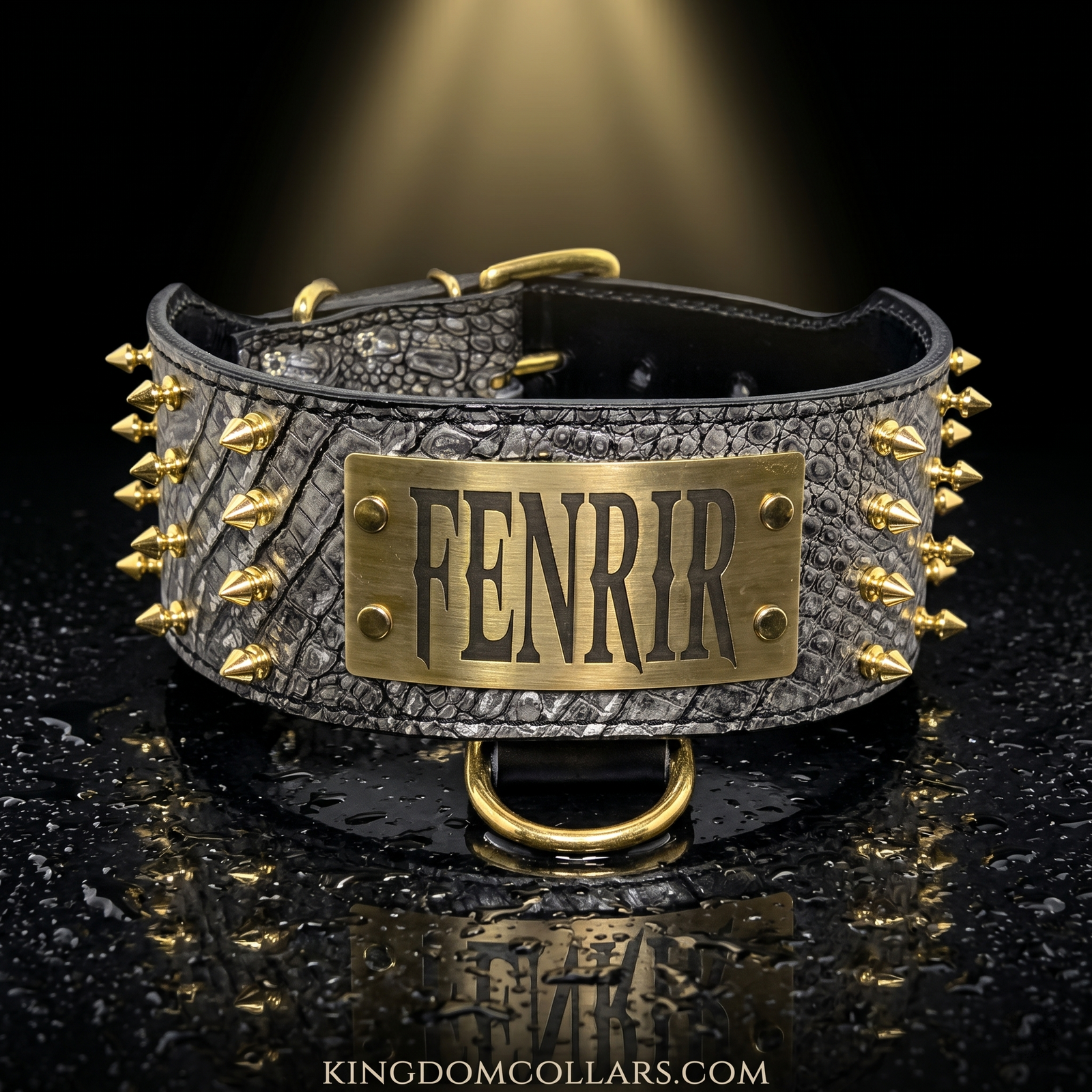 2.5"–3" Wide Italian Leather Spiked Collar | 4 Rows Tree Spikes | Engraved Name Plate