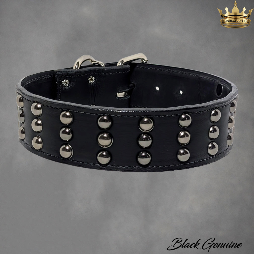 Black leather dog collar with silver studs on a gray background