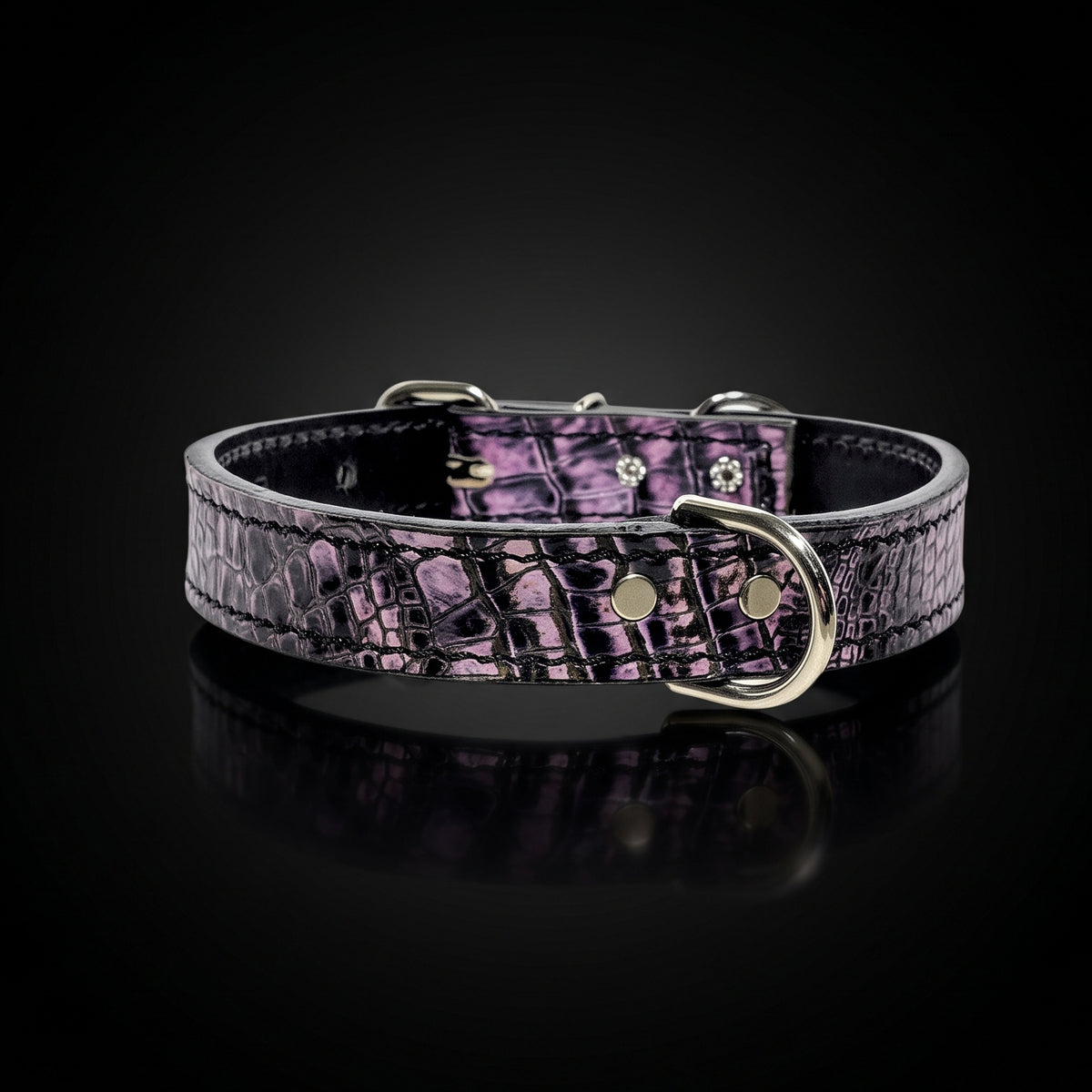 A purple crocodile-embossed leather collar with silver-tone metal hardware, displayed on a reflective black surface.