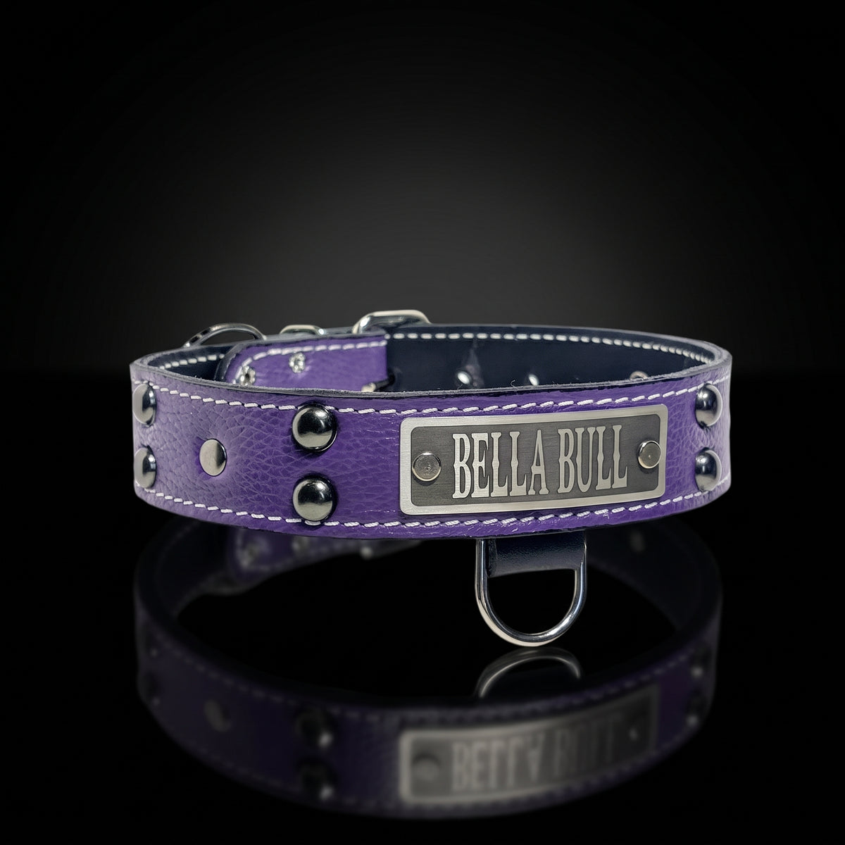 1.5-inch personalized studded Italian leather dog collar with dome studs and flat rivets by Kingdom Collars