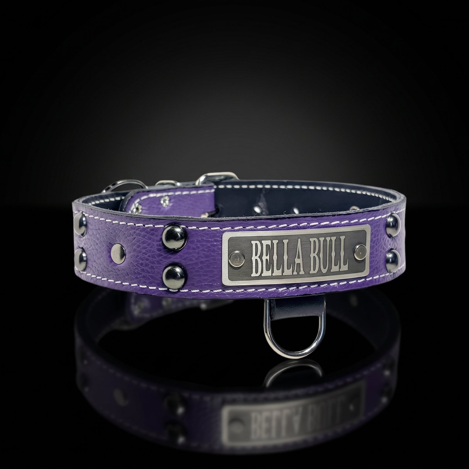 1.5-inch personalized studded Italian leather dog collar with dome studs and flat rivets by Kingdom Collars