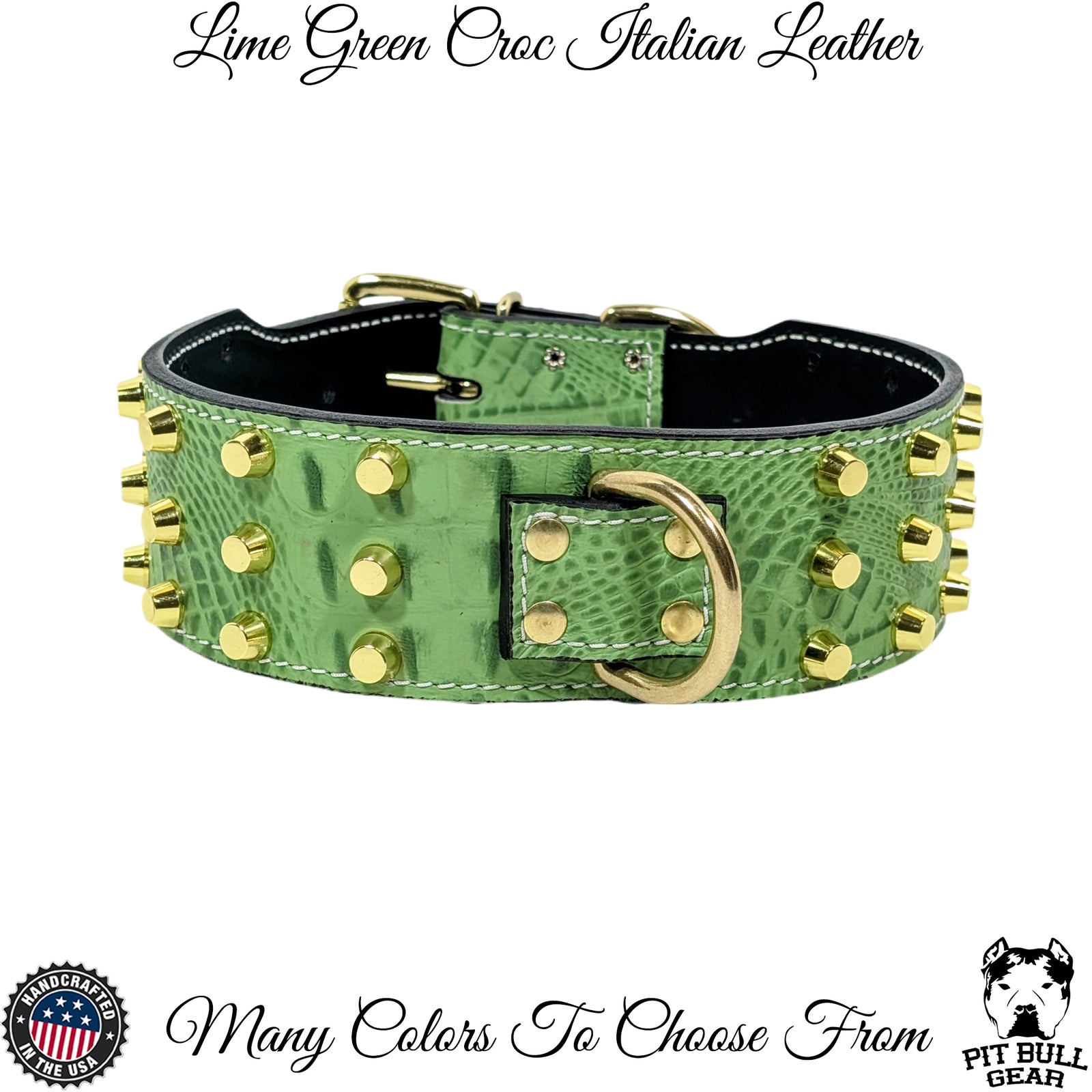 Green leather dog collar with gold studs on a white background, featuring Pit Bull Gear branding.