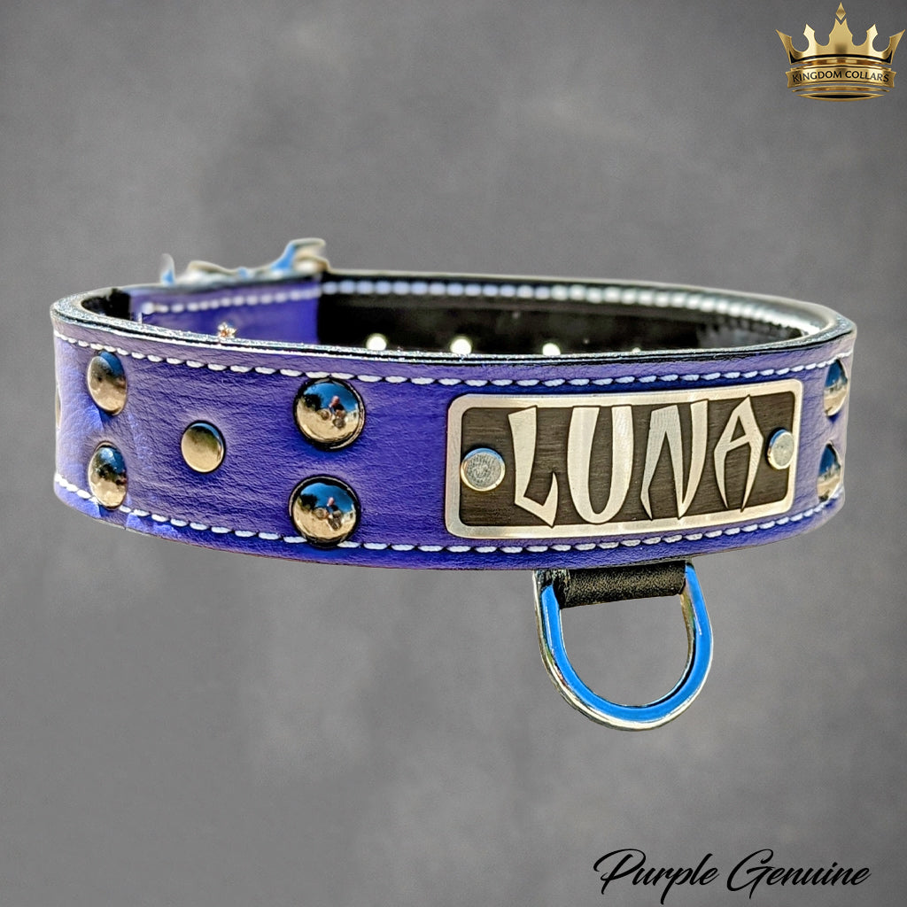 N10 - 1.5" Wide Leather Dog Collar Personalized Name Plate Studded