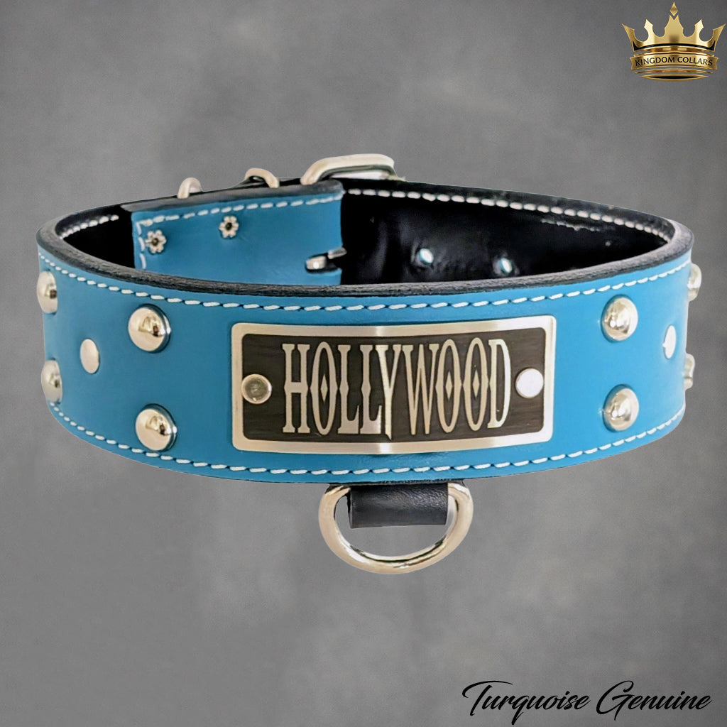 N12 - Coleira de cachorro de couro cravejada com placa de nome personalizada de 2"